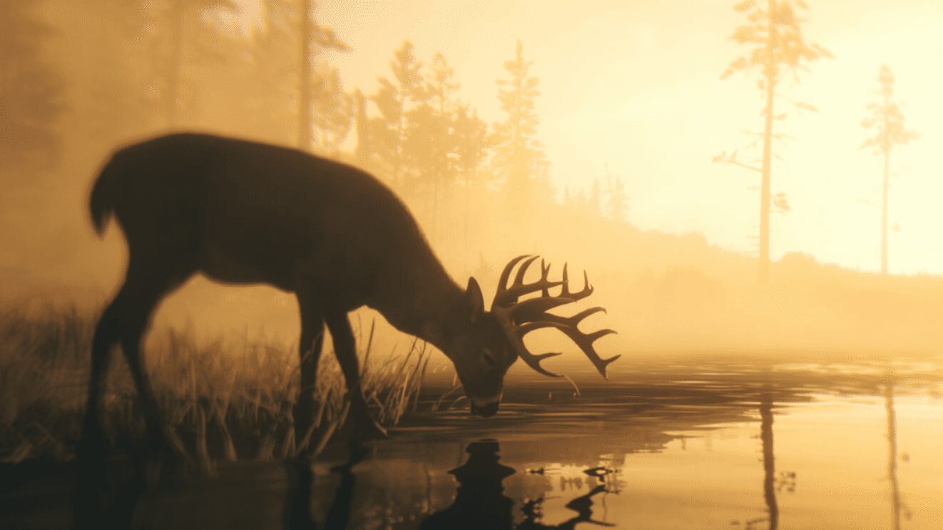 Red Dead Redemption 2 Detail Tierwelt