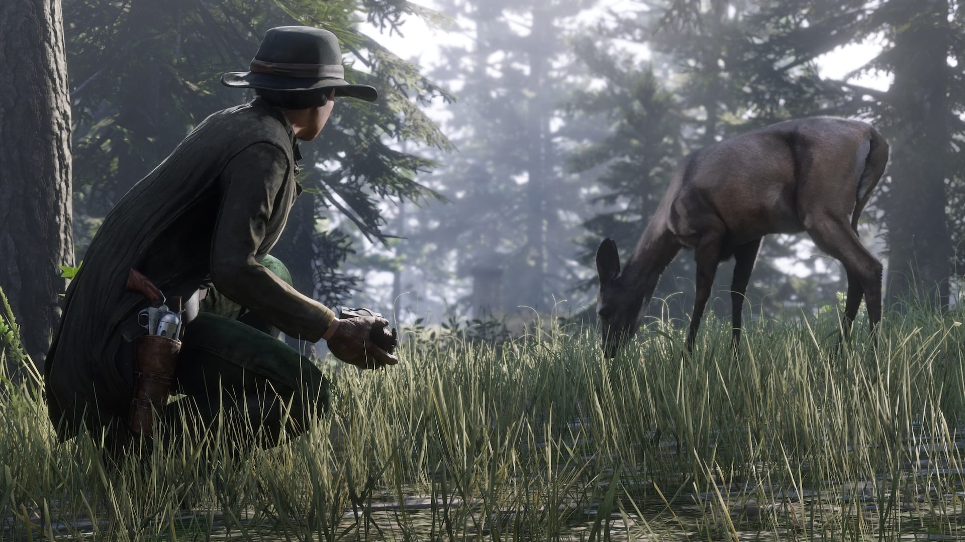 Red Dead Online - Wildlife Photographer