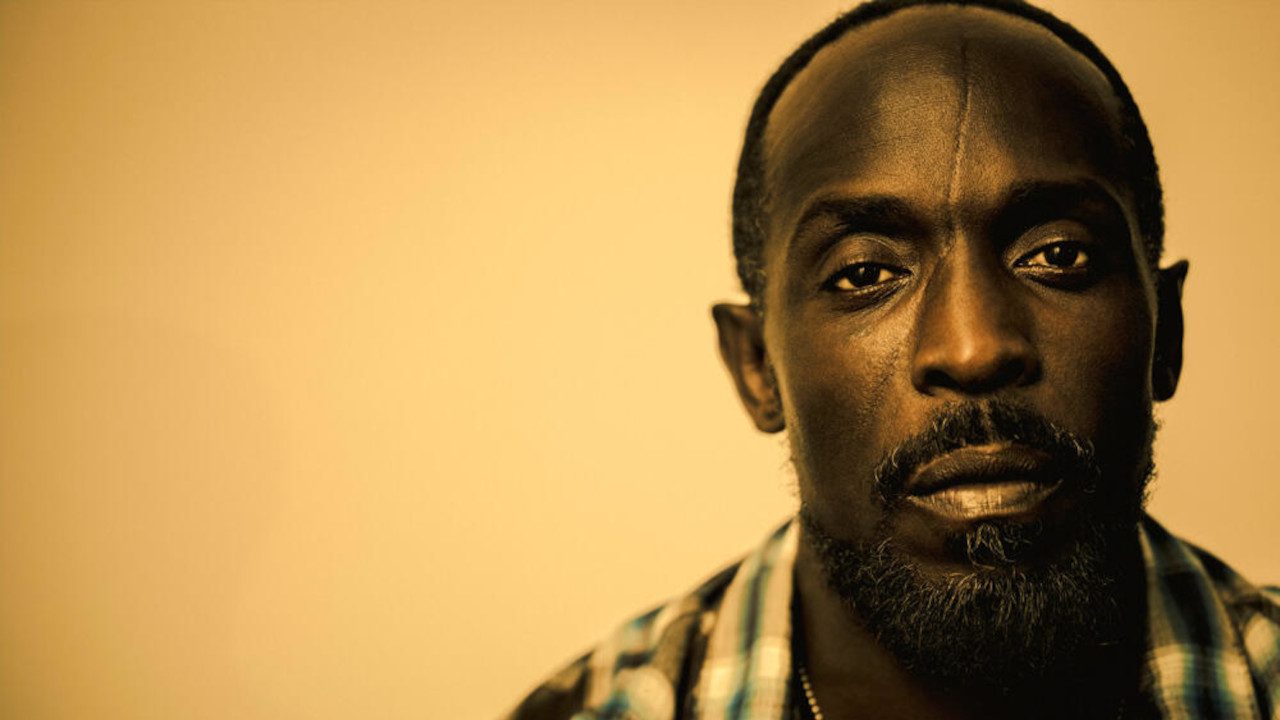 Michael K. Williams hat nicht nur in The Wire brilliert, sondern zum Beispiel auch in Hap and Leonard mitgespielt.