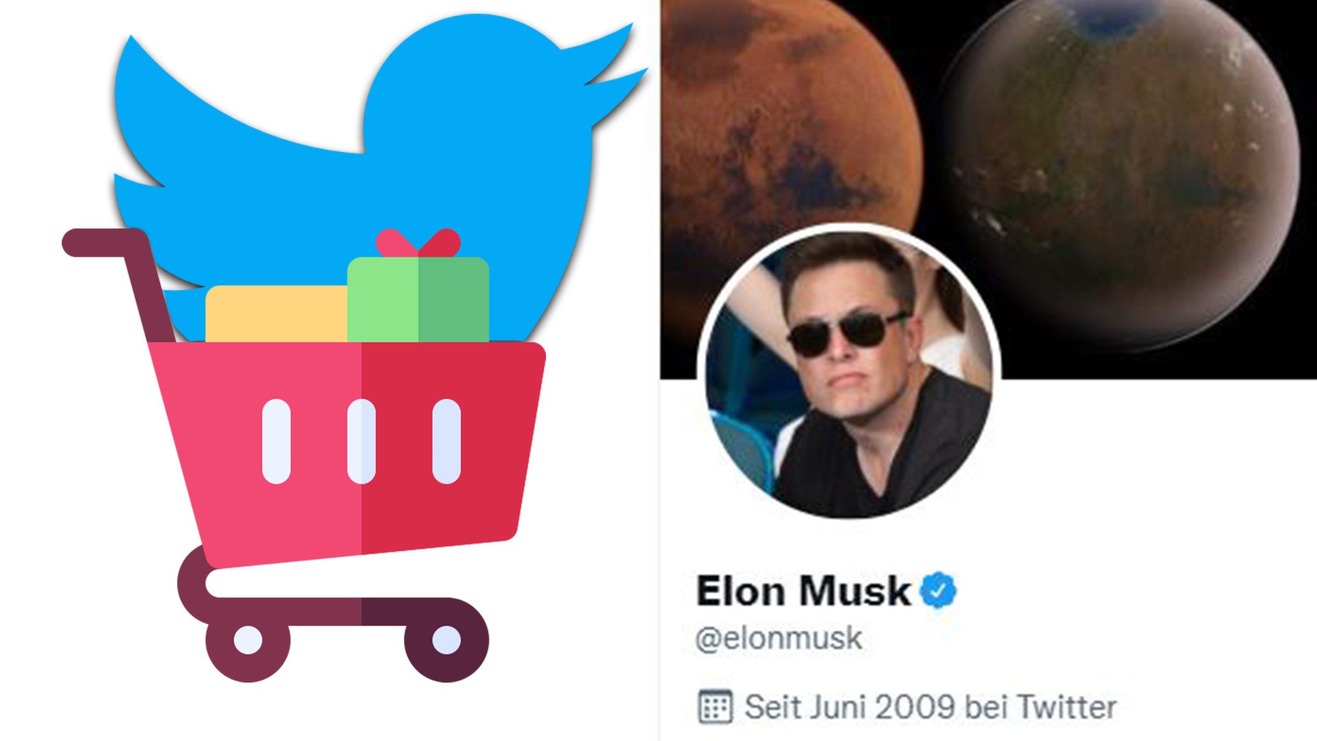 Twitter - Elon Musk